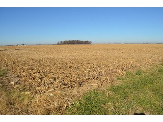 Tract 1 - FARMLAND AUCTION - 165.5+/- ACRES OFFERED IN 5 TRACTS OR COMBINATIONS IN EAST ALLEN COUNTY